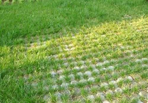 天津草坪砖